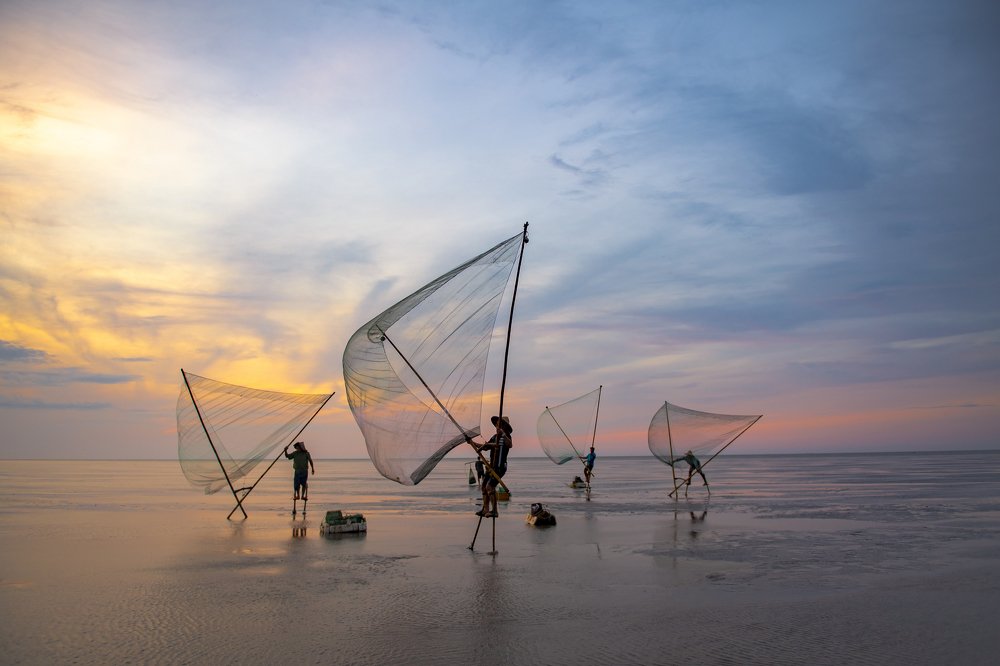 The prelude of new day