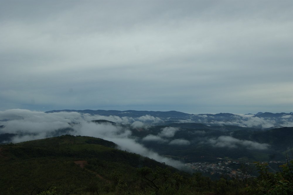 Photograph by Tatiana Barthem