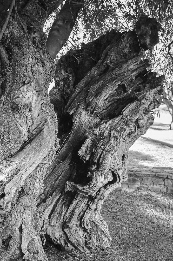 Photograph by Jorge Pedro Caggiano Perez