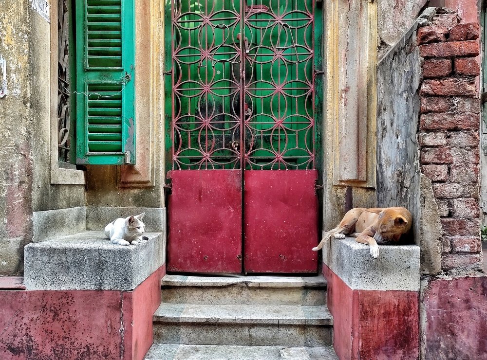 Photograph by Subrata Parui