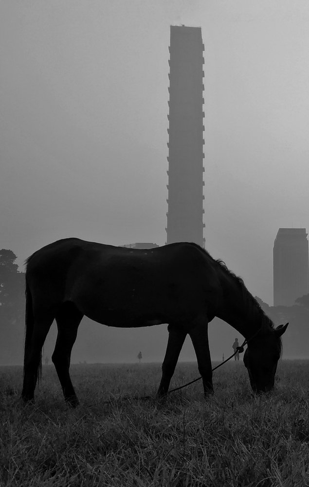 Photograph by Subrata Parui