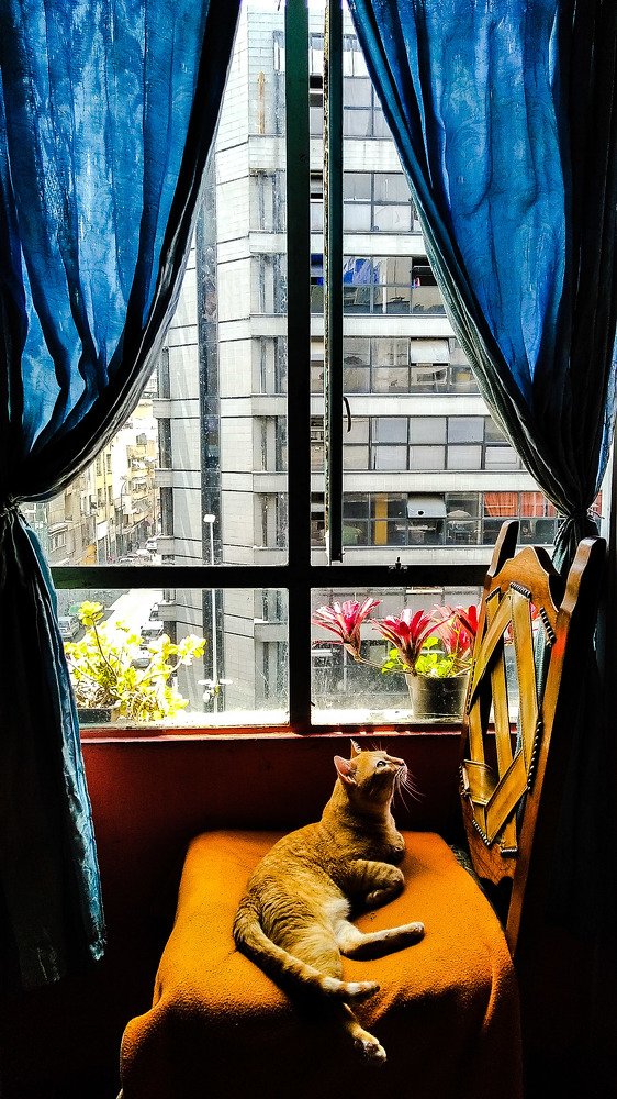 Photograph by Edwin Mijares