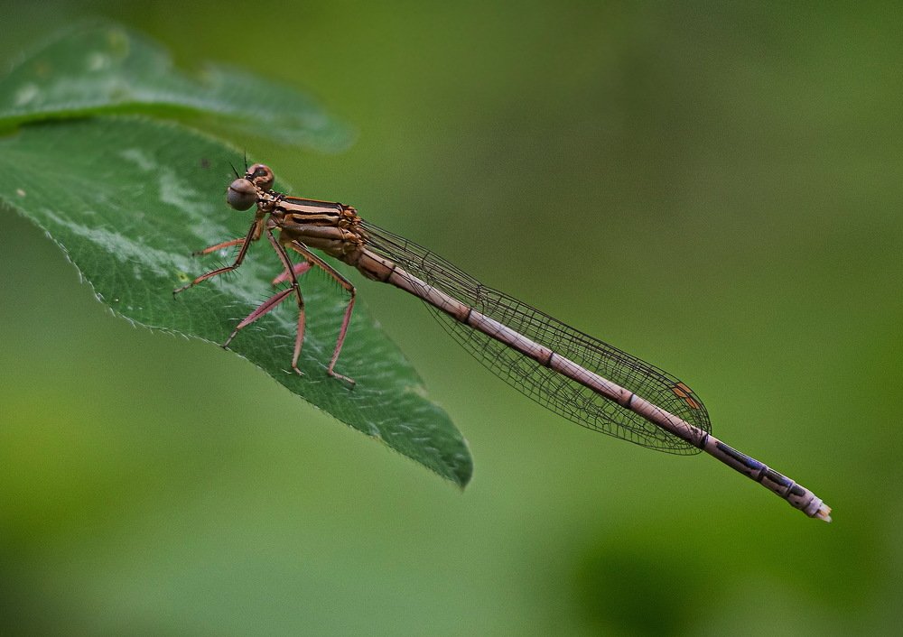 Photograph by Евгений Михеев