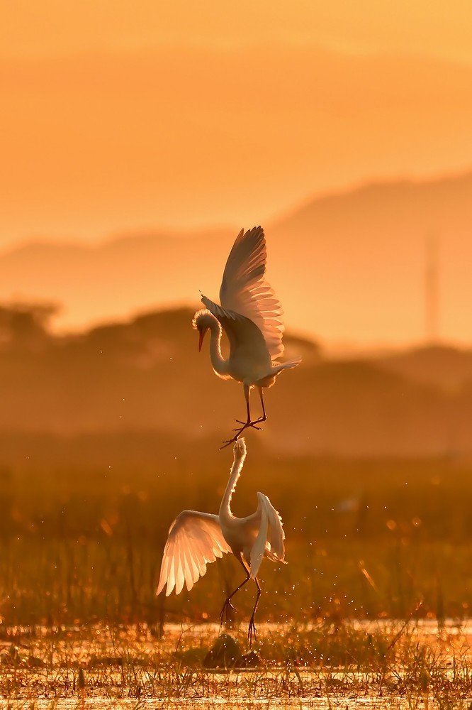 Photograph by Parikshit das