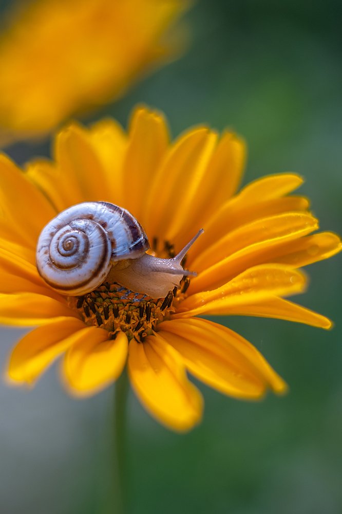 Photograph by Марина Згоник