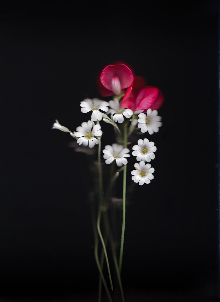 Photograph by Павел Барановский