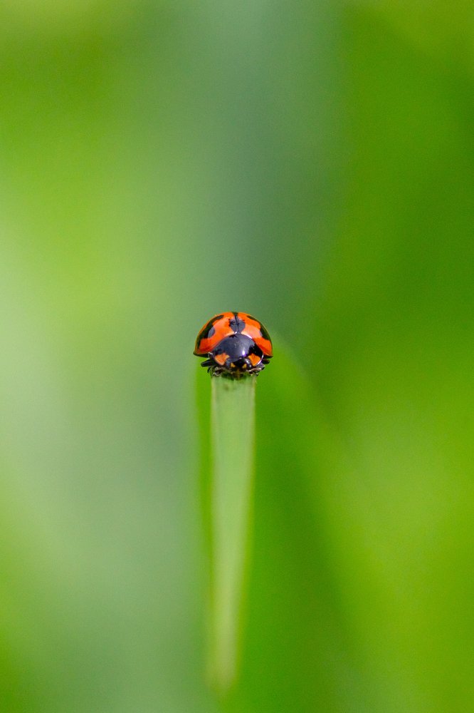 Photograph by Prasad Kn