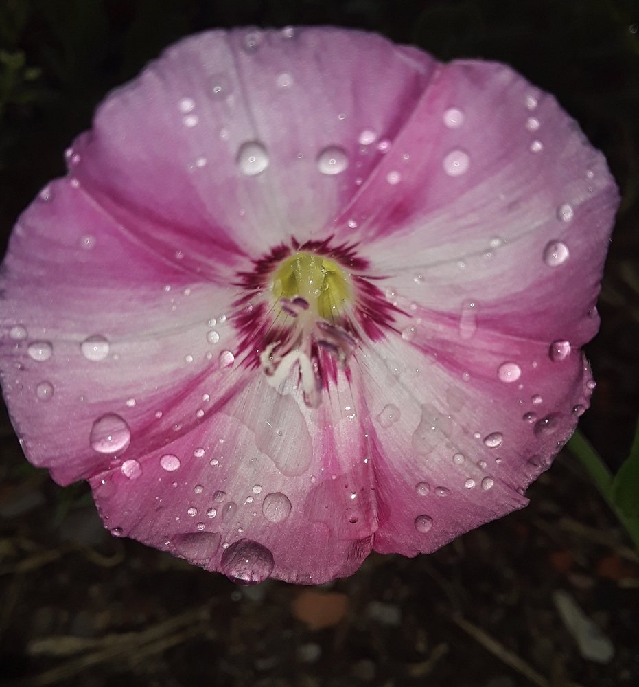 Photograph by Татьяна Собенникова