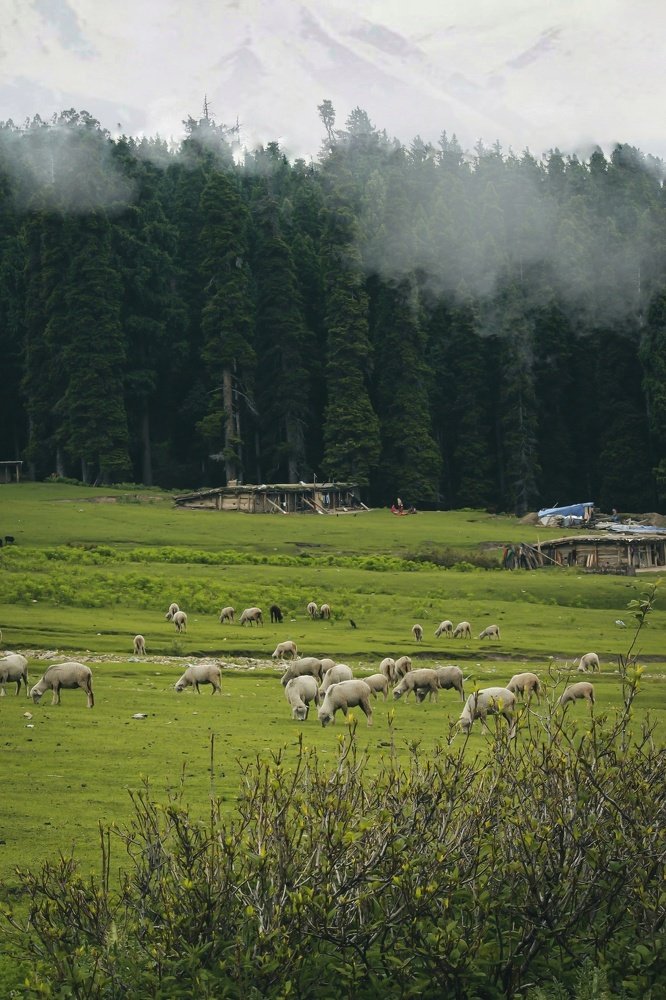 Photograph by Umer Mir