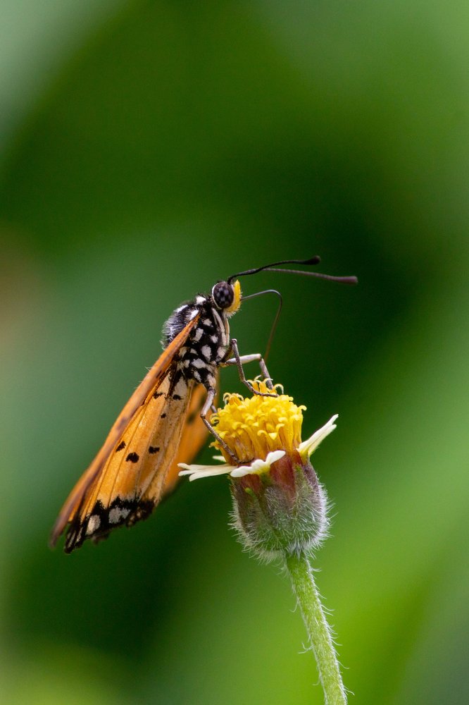 Photograph by Prasad Kn