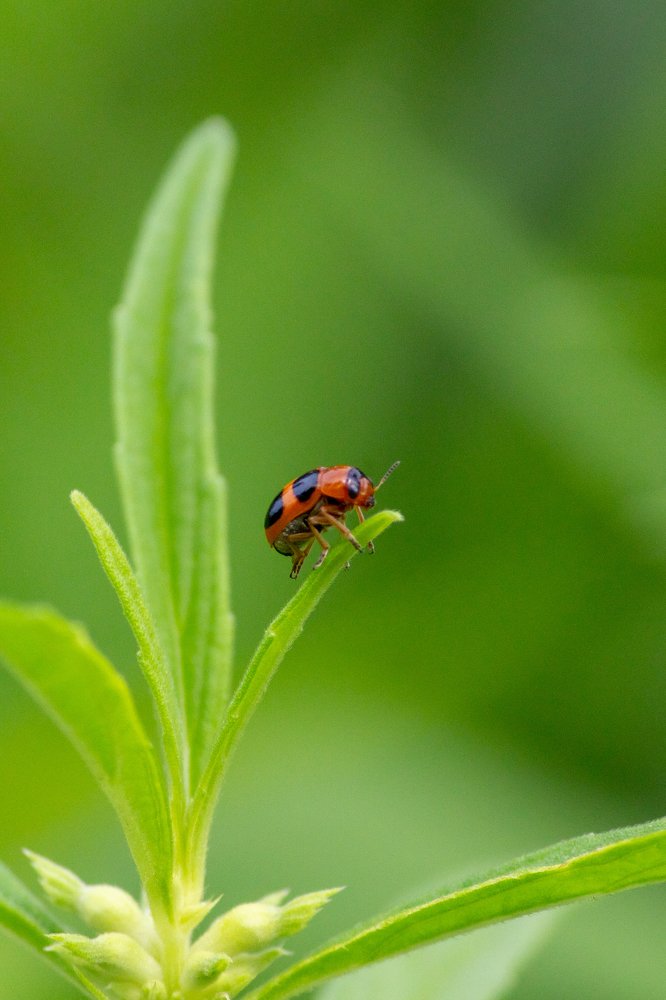 Photograph by Prasad Kn