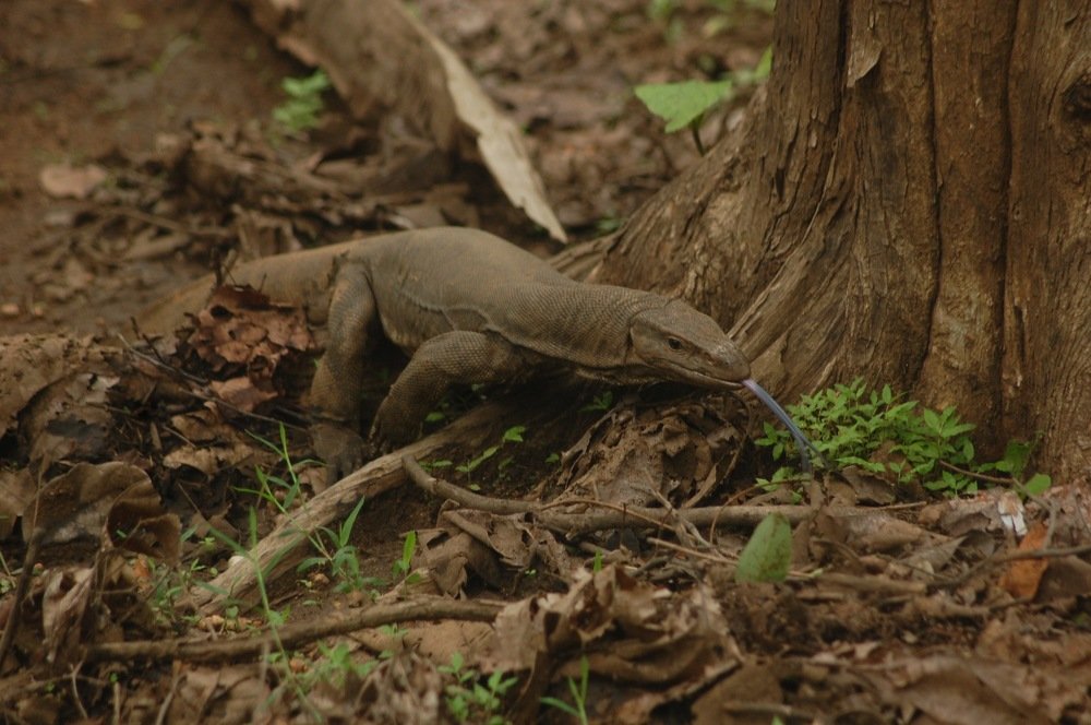 Photograph by Parth Bhagat