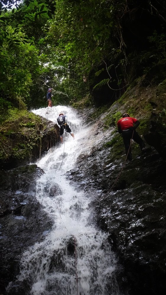 Photo #4746649