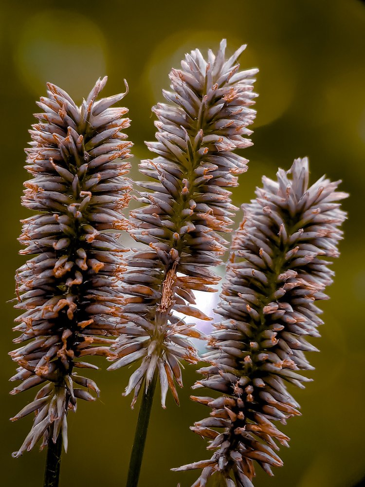 Photograph by Tomas Hadi