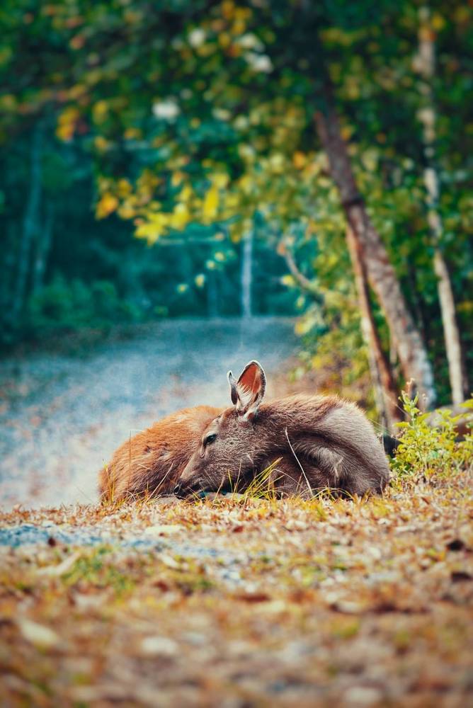 Photograph by Suksiri Natcha