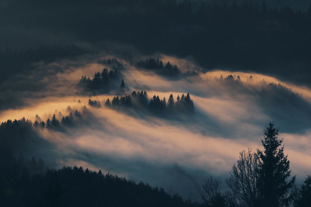 Photograph by Filip Eremita