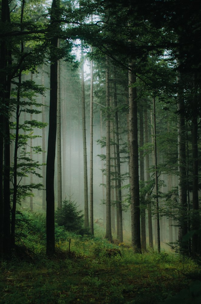 Photograph by Filip Eremita