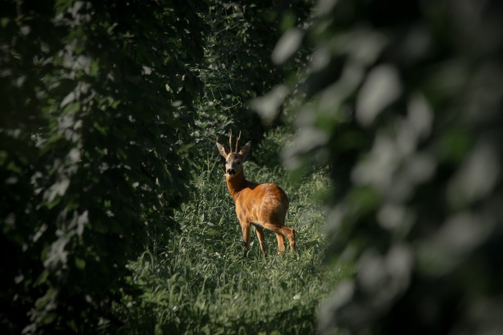 Photograph by Filip Eremita