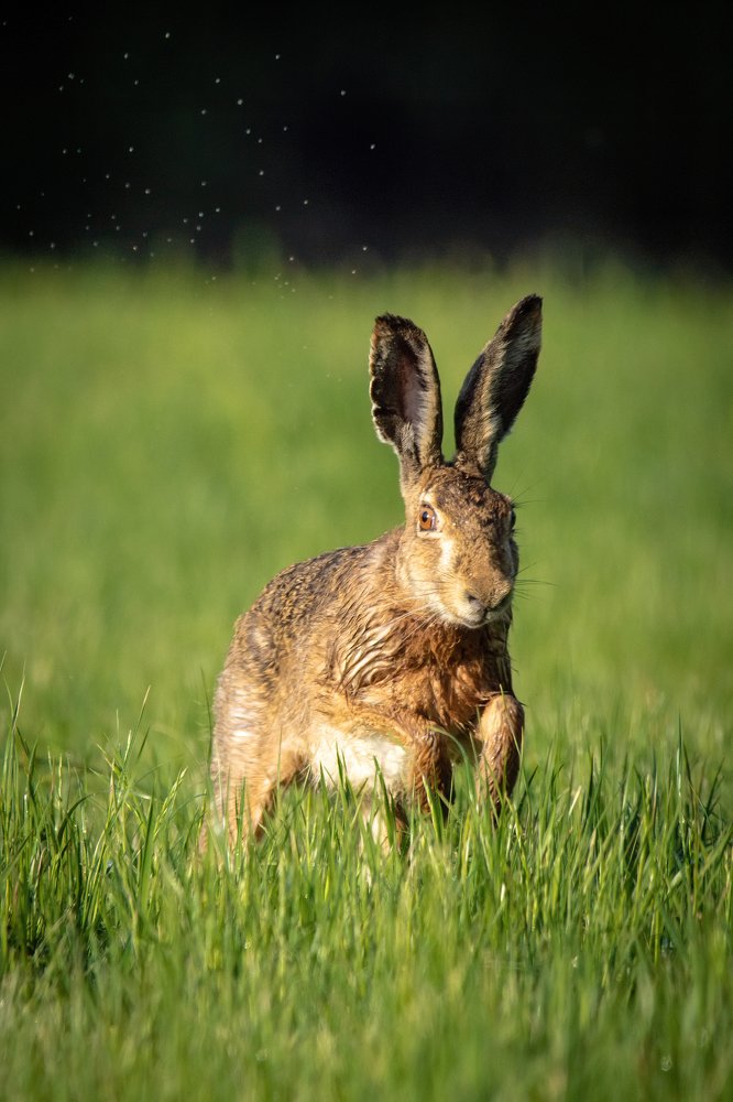 Photograph by Filip Eremita