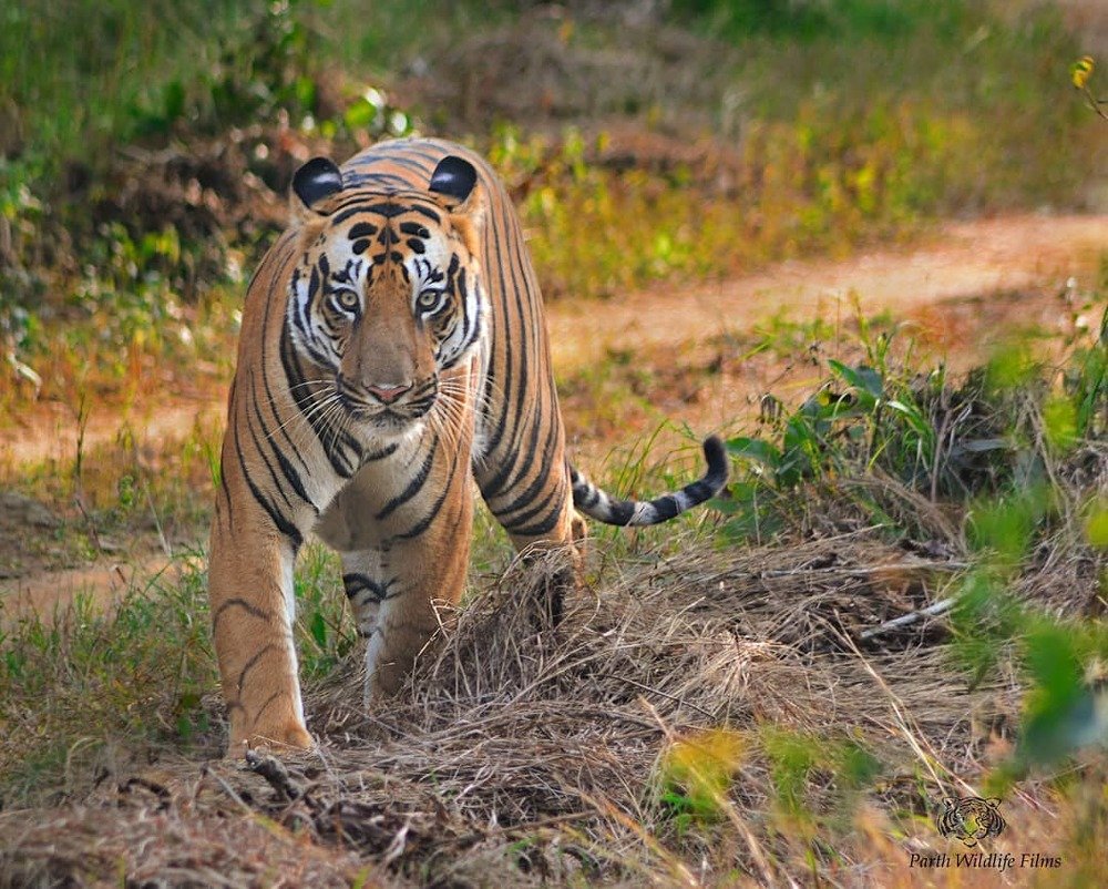 Photograph by Parth Bhagat