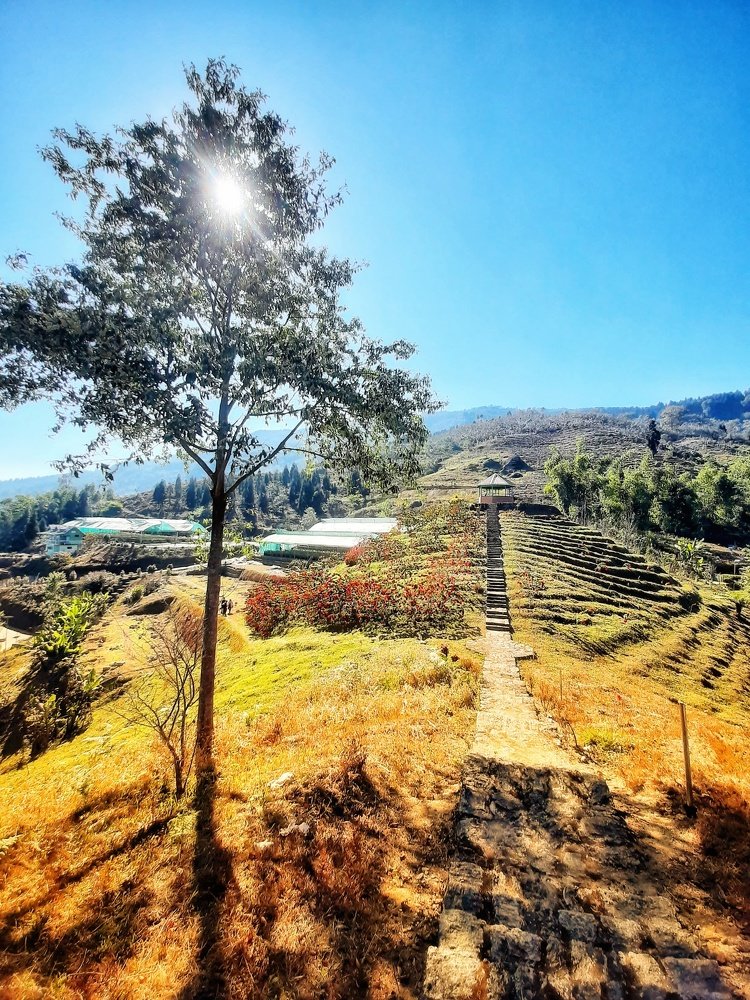 Photograph by SUMAN PATRA