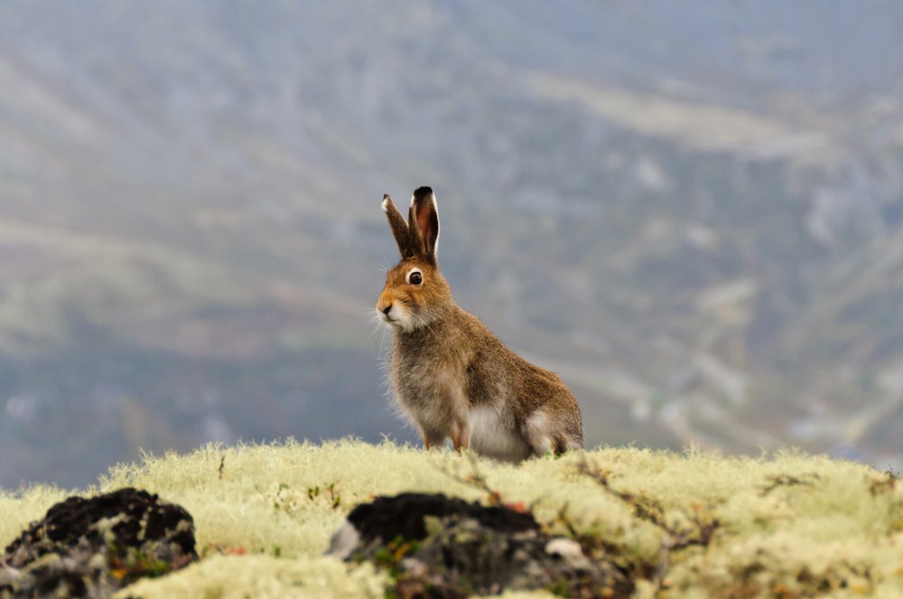 Photograph by Михаил Агульник