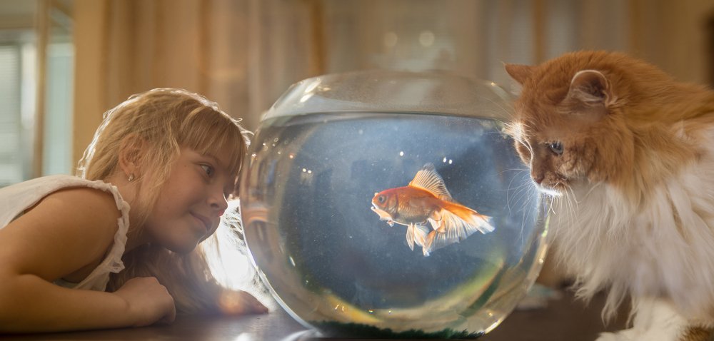 Photograph by Татьяна Курочкина