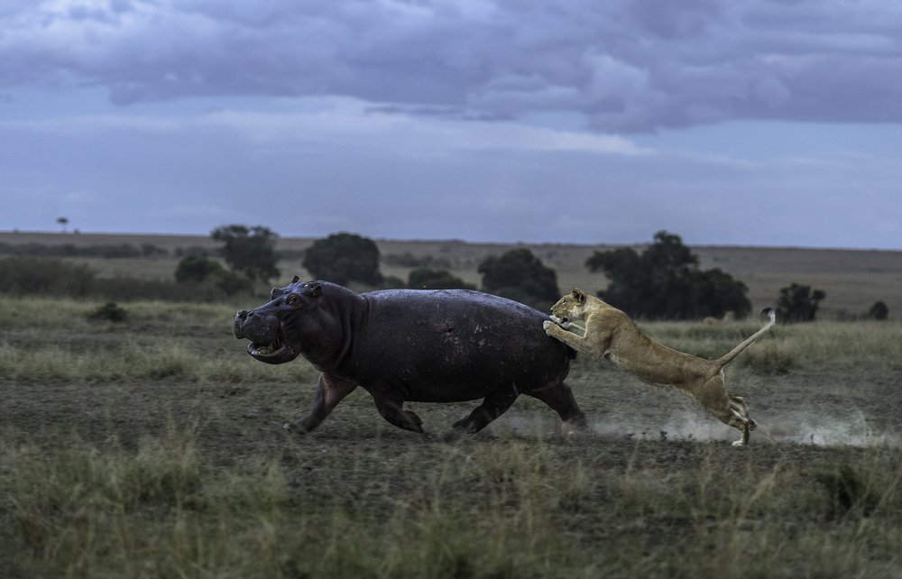 Photograph by Dhiraj Venkat