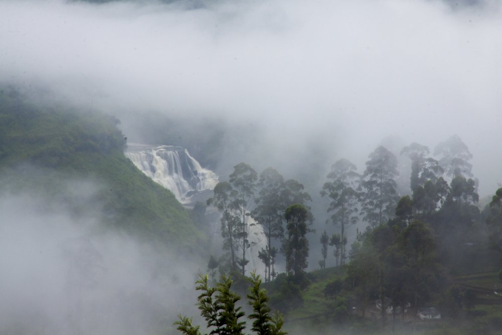 Photograph by Senadheera Danushka