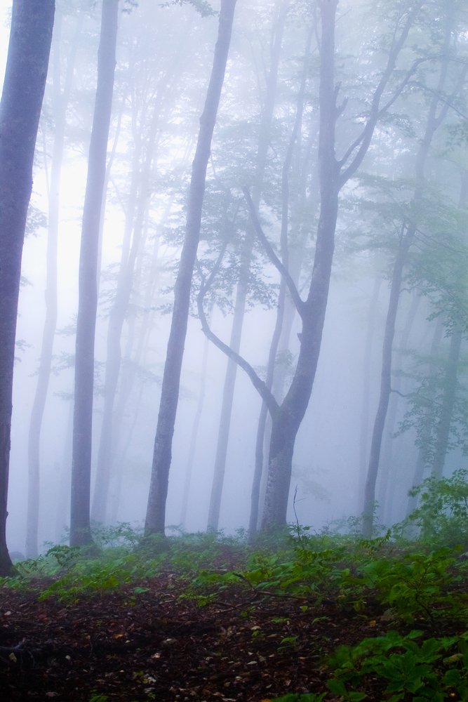 Photograph by Роман Приходько