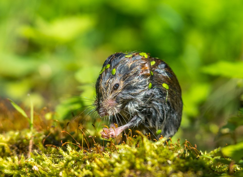 Photograph by Александр Подмарёв