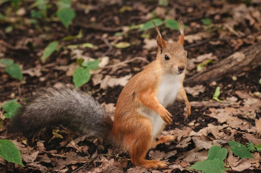 Photograph by Александр Филатов