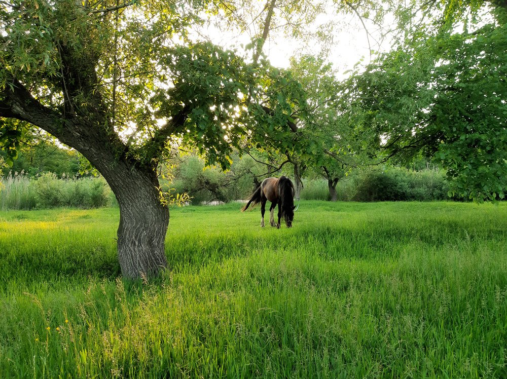 Photograph by Юлия Закопайло