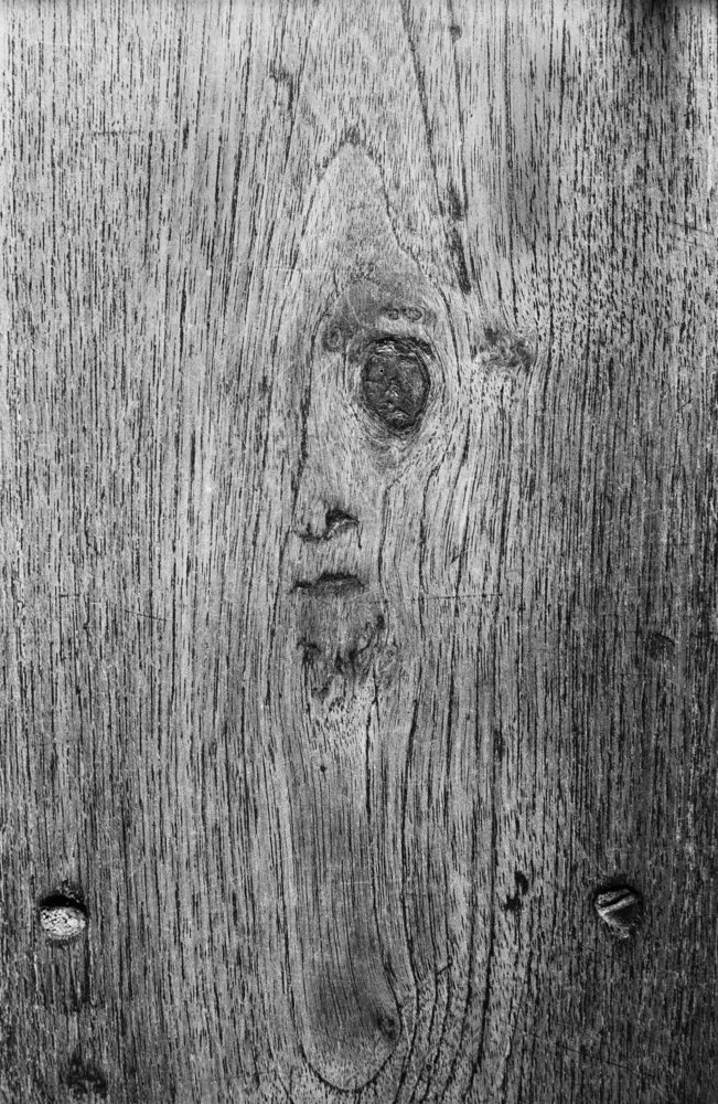 Photograph by Gopal Mondal