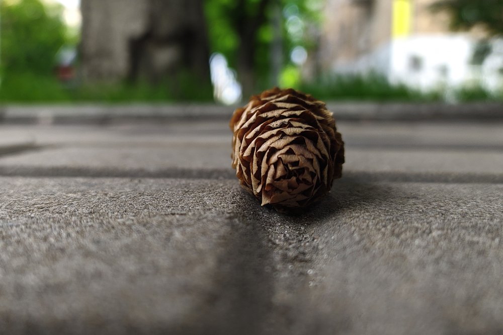 Фотография автора Анна Кравченко