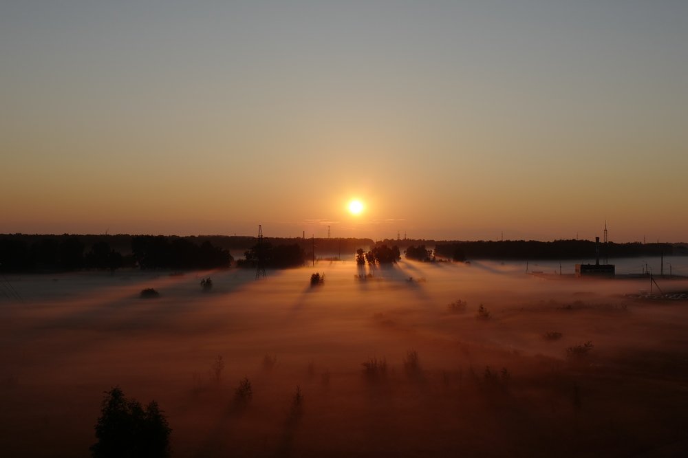 Fog. Sunrise.