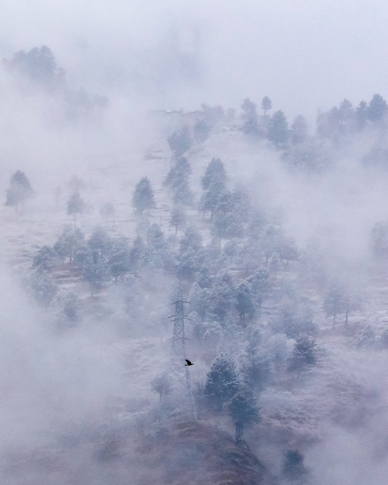 Photograph by Mahesh Magee