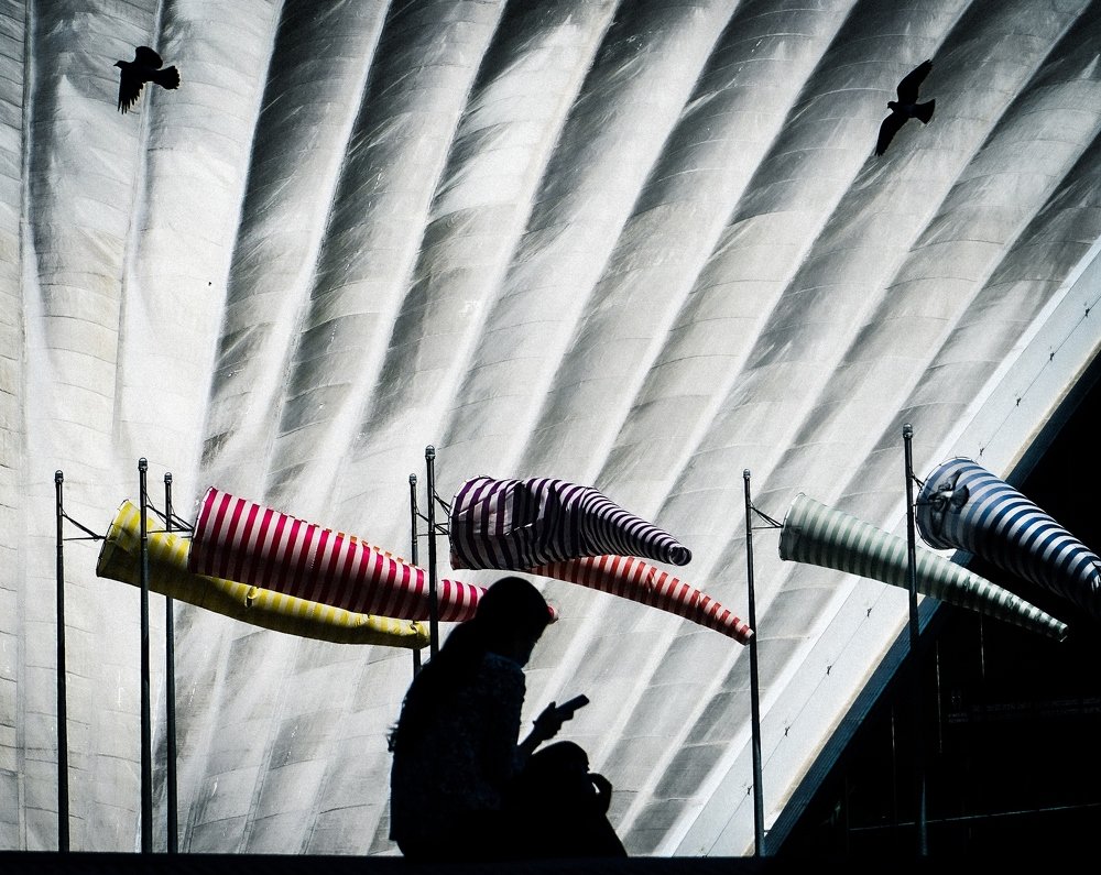 Photograph by Stephane Navailles