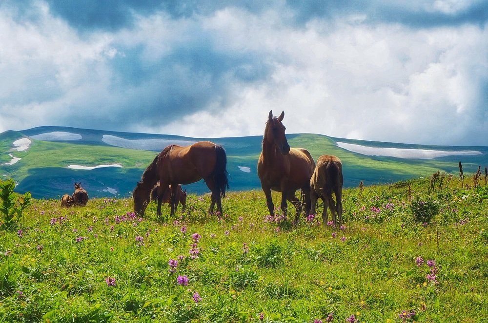 Photograph by Ирина