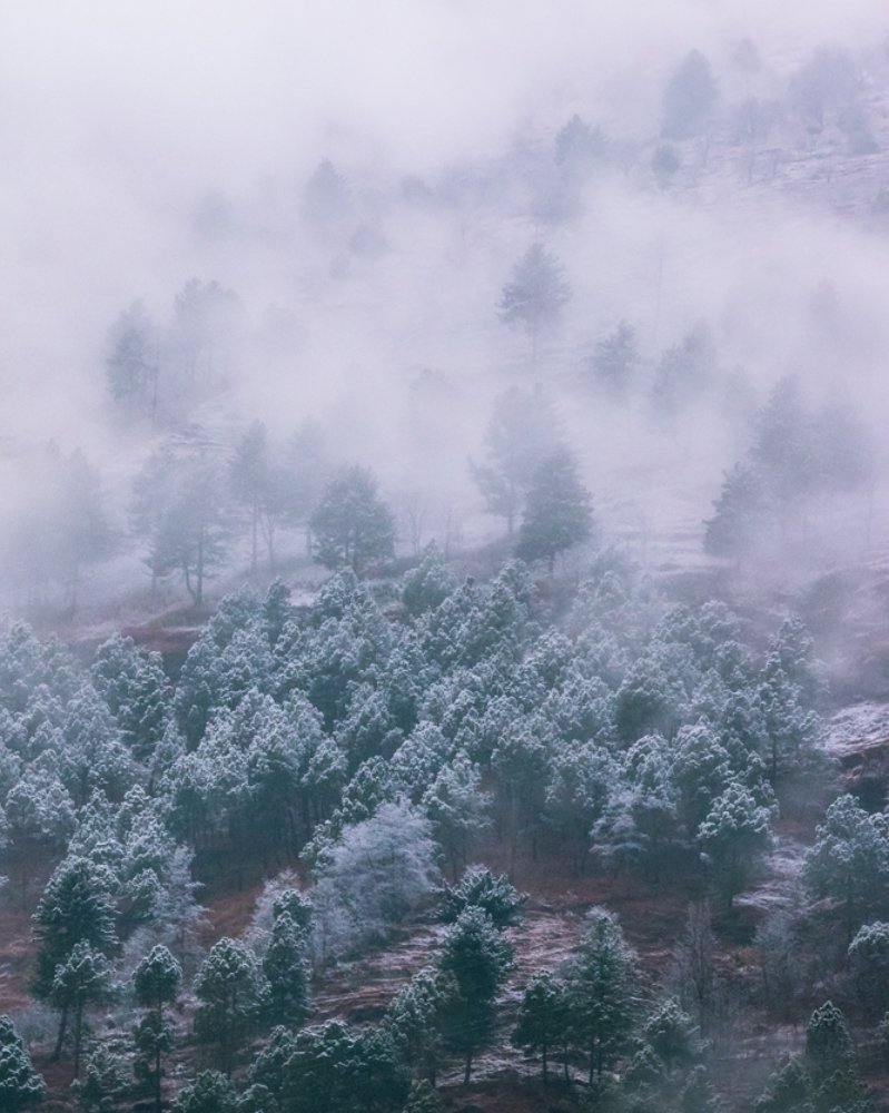 Photograph by Mahesh Magee