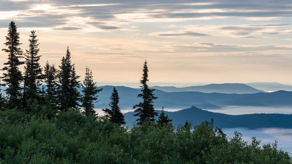 Photograph by Alex Ventura