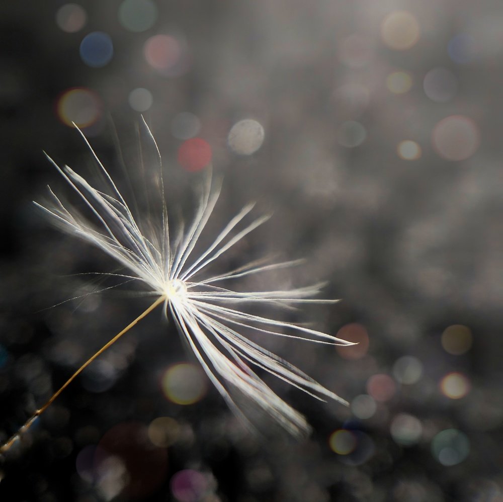 Photograph by Татьяна Чухина