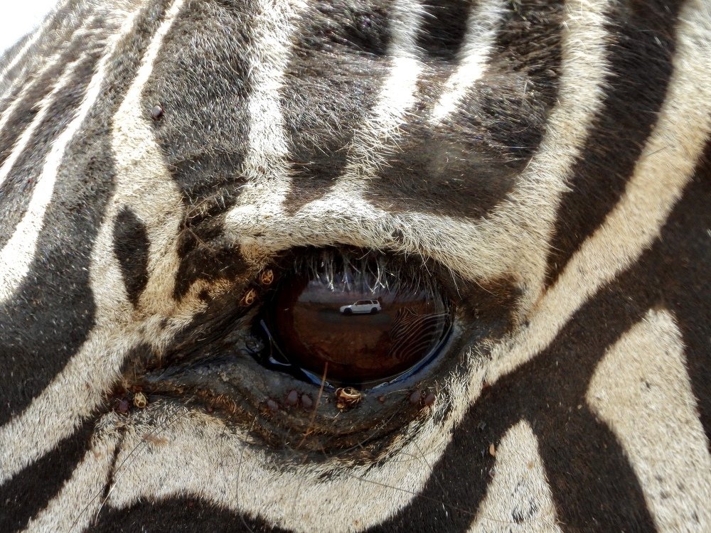 Photograph by Areef Photography