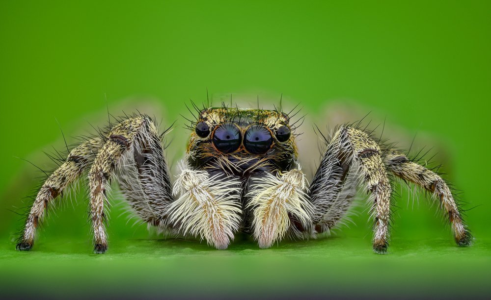 Photograph by Dobrin Ivanov