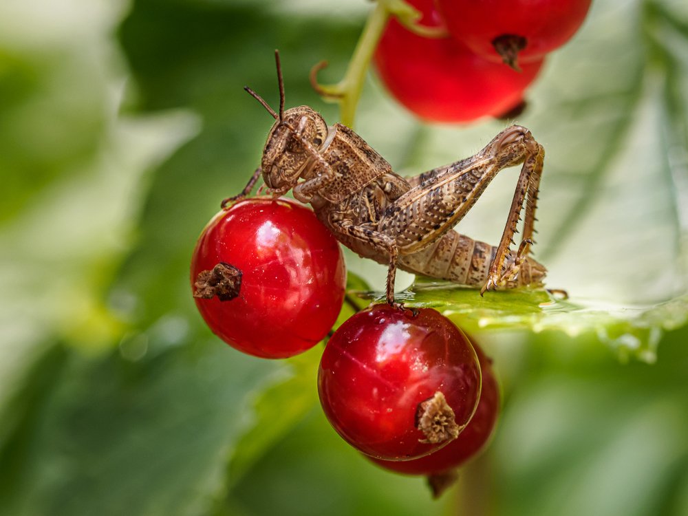Photograph by Светлана Воробьева