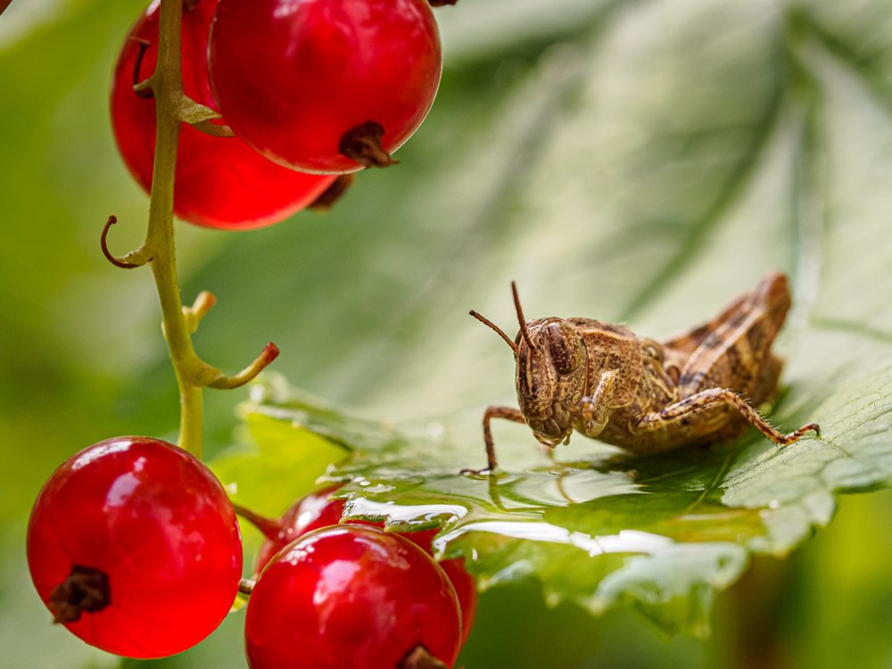 Photograph by Светлана Воробьева