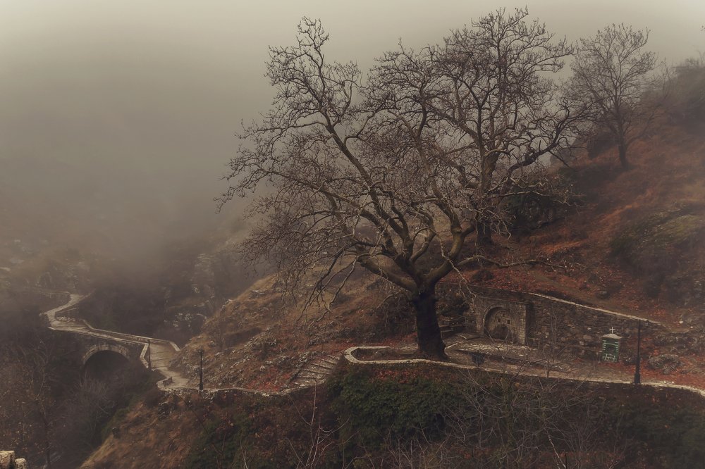 Photograph by TETYANA LYAPI