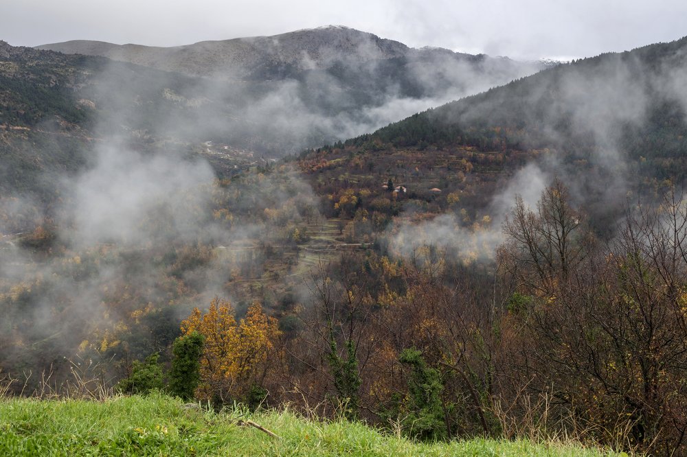 Photograph by TETYANA LYAPI