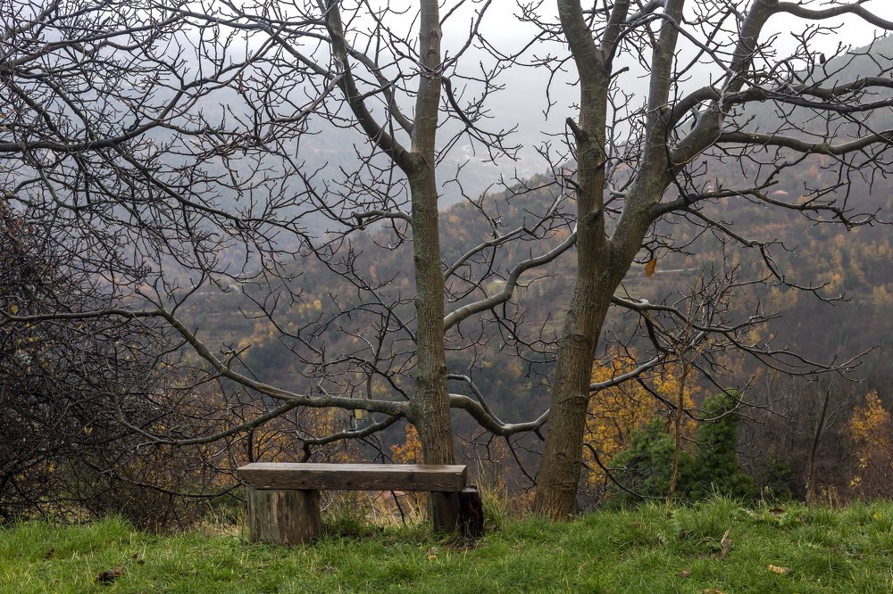 Photograph by TETYANA LYAPI