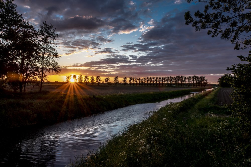 Photograph by Anja Jansen